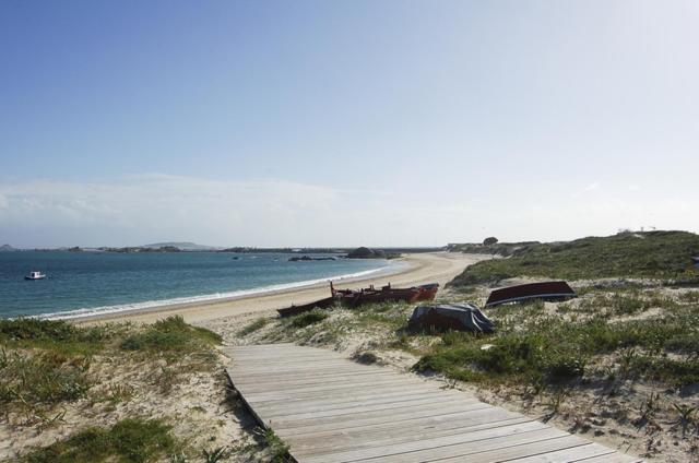 Carola L, "Apartamento De Lujo A 100M Playa Catia" Ribeira Exteriér fotografie
